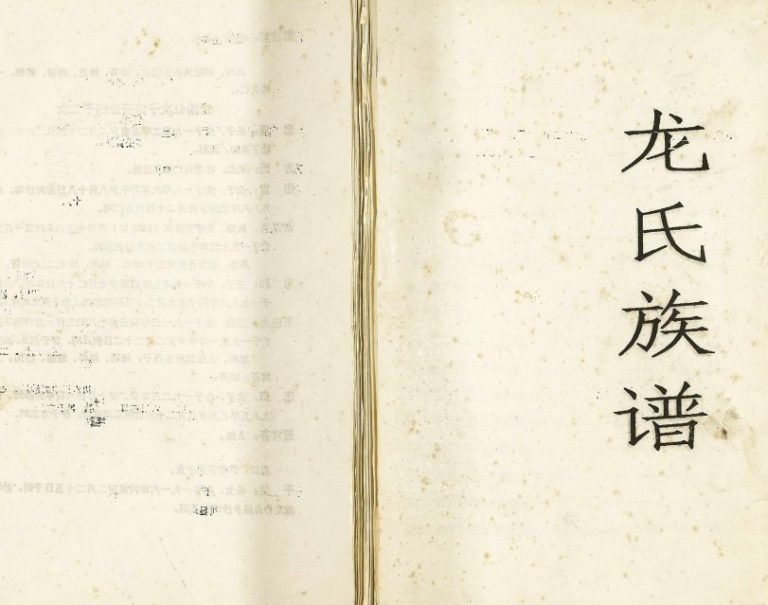 2000年修龙氏族谱 重庆 万州区龙姓电子版家谱下载
