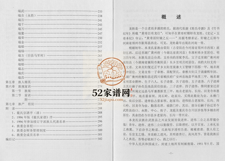 2016年修龙氏族谱武胜县马军寨宗族 四川龙姓电子版家谱下载