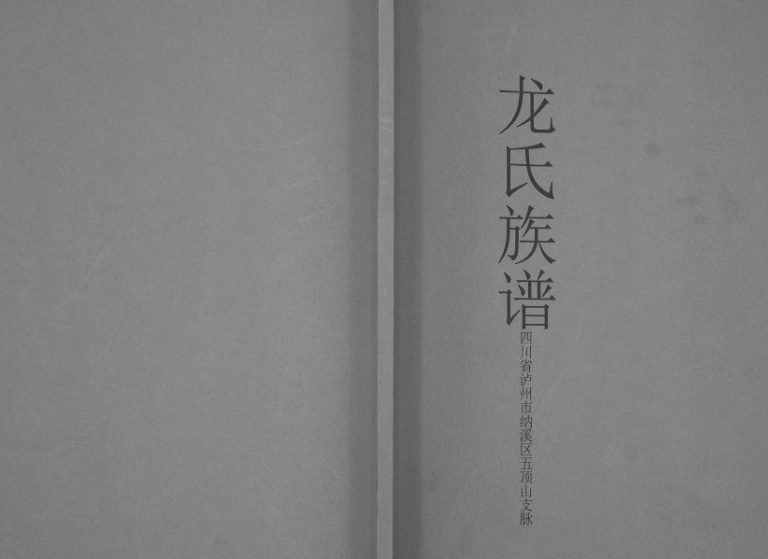 1999年修龙氏族谱四川省泸州市纳溪区五顶山支脉龙姓电子版家谱下载