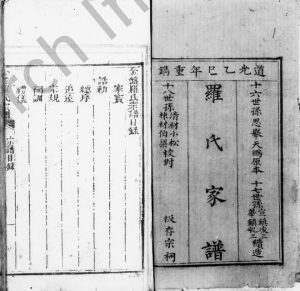 1845年修罗氏家谱 四川宣汉罗姓电子版族谱下载