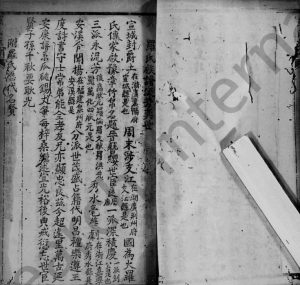 1916年修罗氏族谱 四川荣昌罗姓电子版家谱下载