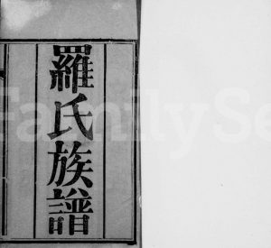 1931年修罗氏族谱[4卷]四川简阳罗姓电子版家谱下载