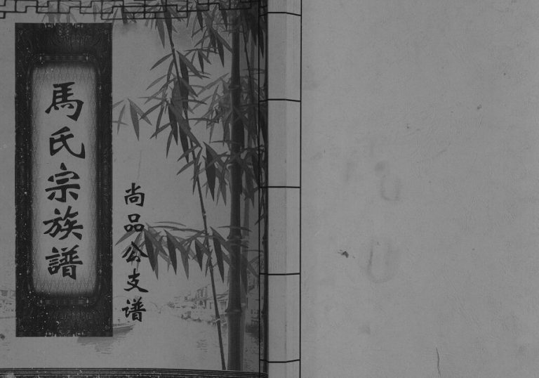 2008年修马氏宗族谱尚品公支谱 四川新都马姓电子版家谱下载