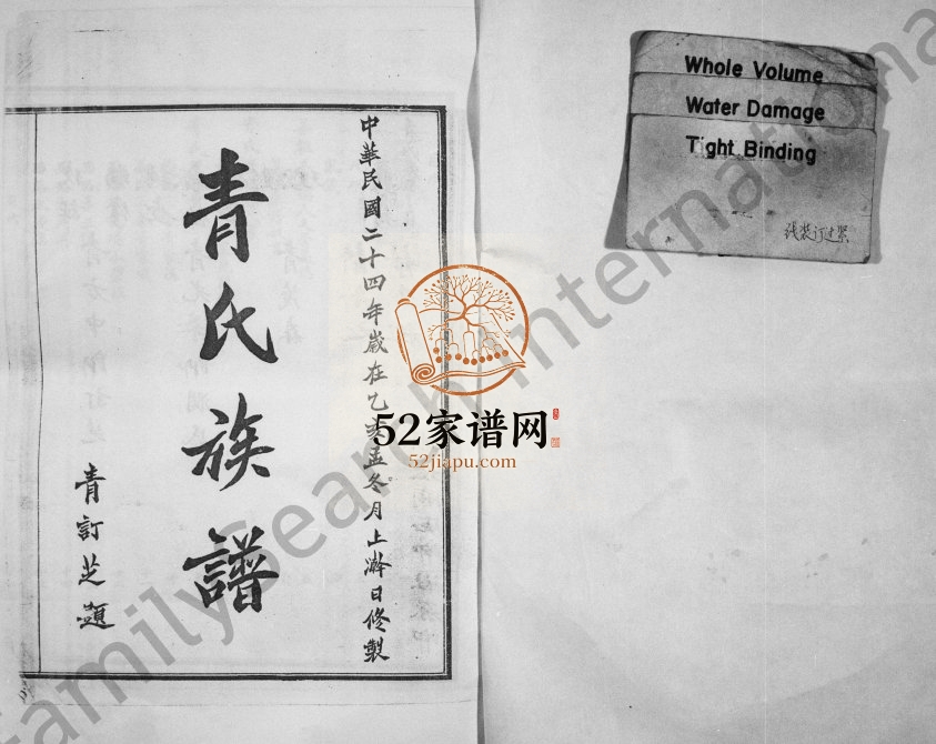 1935年修青氏族谱 四川南充青姓电子版家谱下载