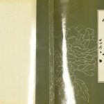 1998年修舒氏族谱 四川武胜舒姓电子版家谱下载
