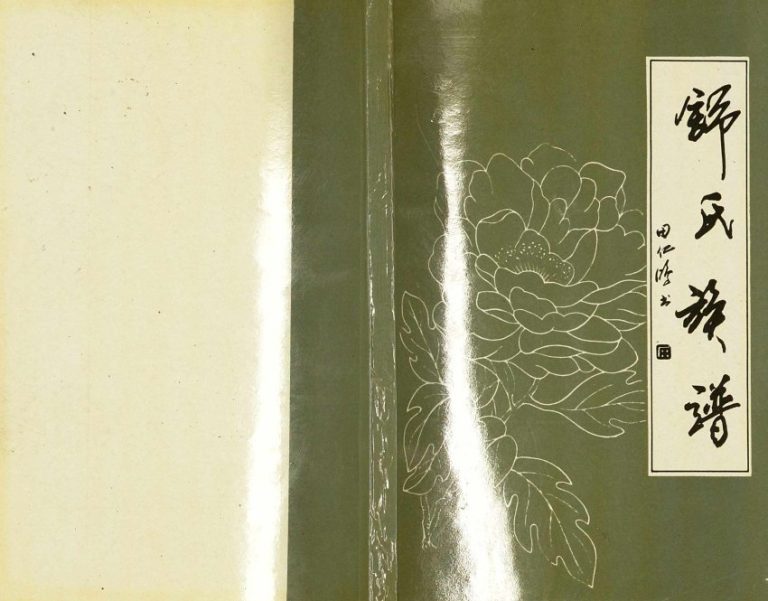 1998年修舒氏族谱 四川武胜舒姓电子版家谱下载