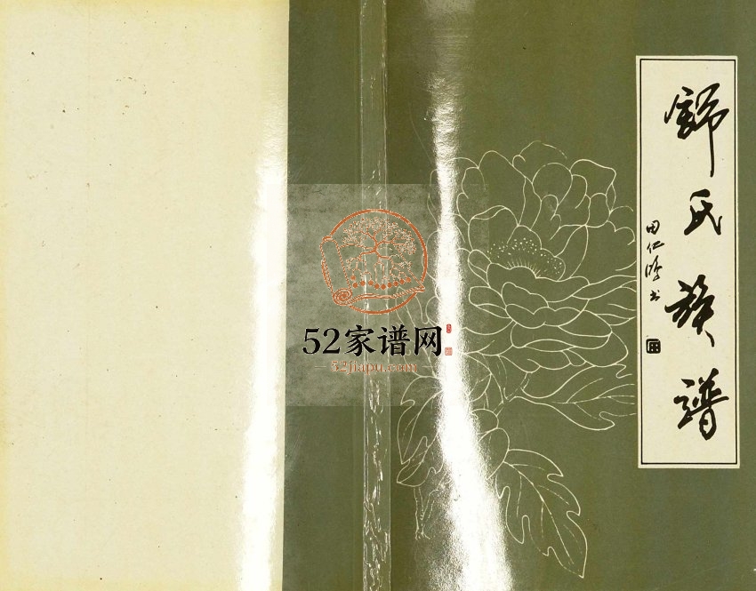 1998年修舒氏族谱 四川武胜舒姓电子版家谱下载