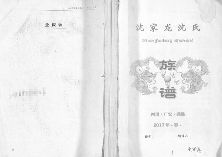 2017年修沈家龙沈氏族谱 四川武胜沈姓电子版家谱下载