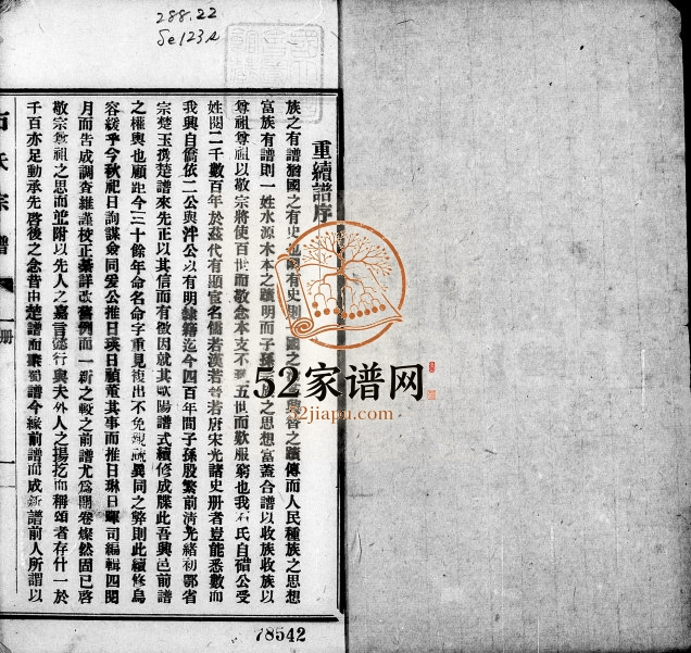 1919年修石氏宗谱 四川兴文石姓电子版族谱下载