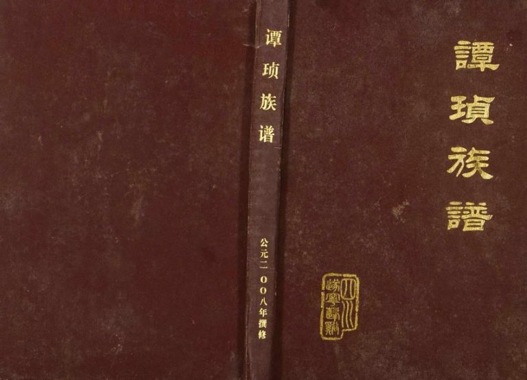 2007年修乐安堂会川孙氏族谱[不分卷]四川会理 会东 西昌 云南建水孙姓电子版家谱下载
