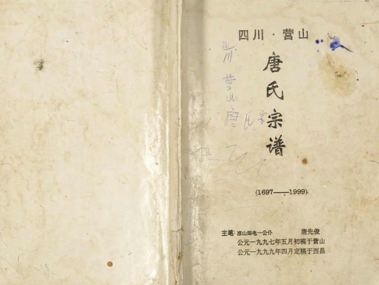 1999年修四川营山唐氏宗谱 唐姓电子版族谱下载