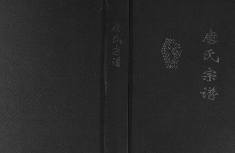 2001年修唐氏宗谱 四川安岳 大足 潼南 遂宁 乐至唐姓电子版族谱下载
