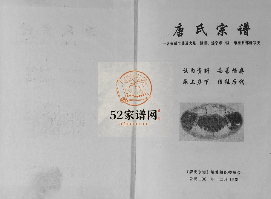 2001年修唐氏宗谱 四川安岳 大足 潼南 遂宁 乐至唐姓电子版族谱下载