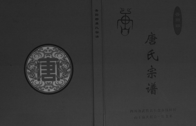 2015年修晋阳郡唐氏宗谱[不分卷]四川武胜唐姓电子版族谱下载