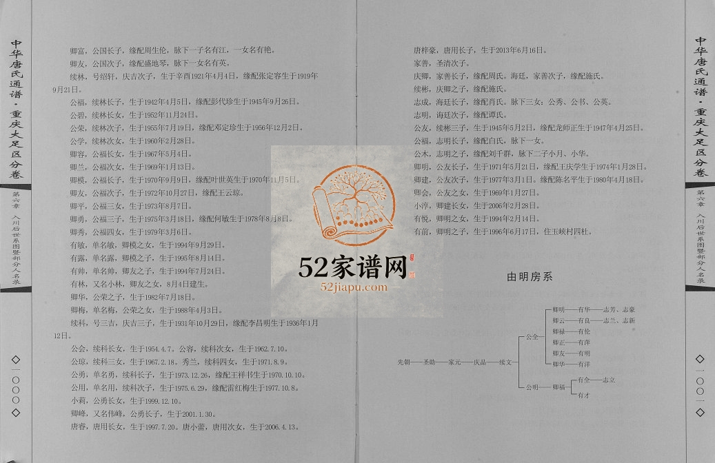 2016年修中华唐氏通谱重庆大足区分卷 唐姓电子版族谱下载