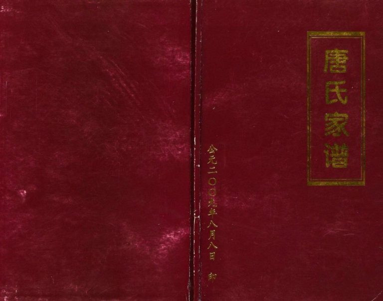 2009年修唐氏家谱 四川宣汉唐姓电子版族谱下载