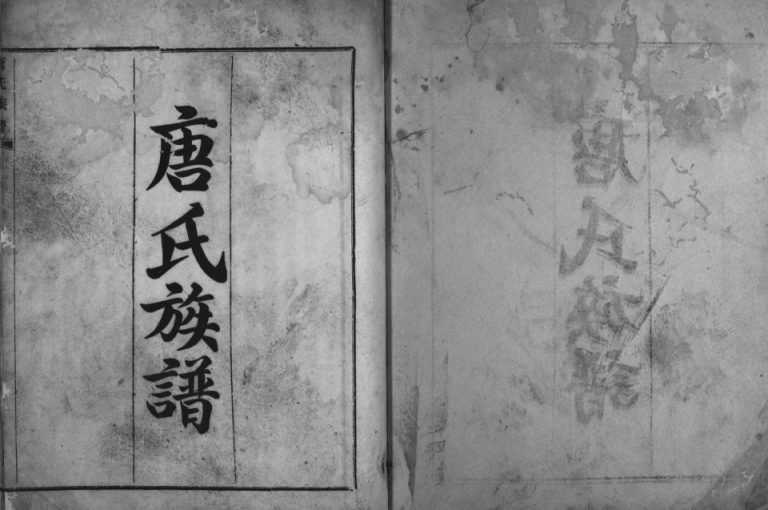 1926年修唐氏族谱[不分卷]四川罗江 绵阳唐姓电子版家谱下载