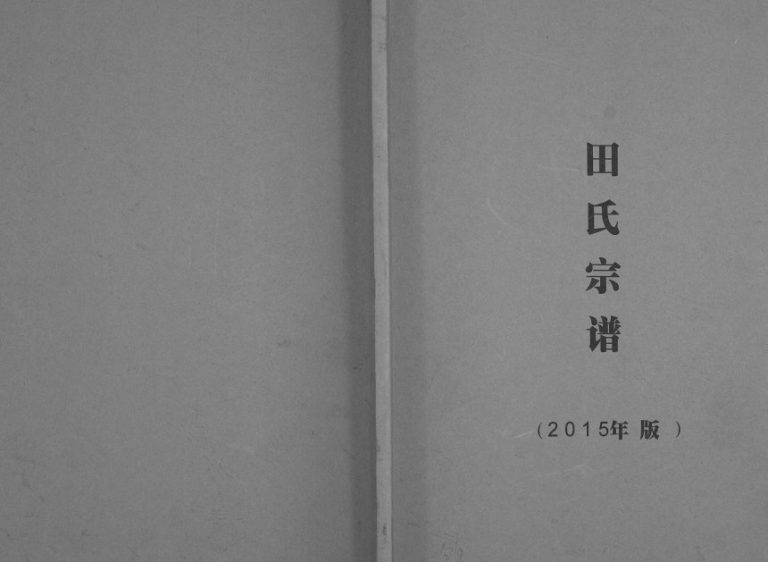 2015年修田氏宗谱 四川泸县 富顺 隆昌紫荆堂田姓电子版族谱下载