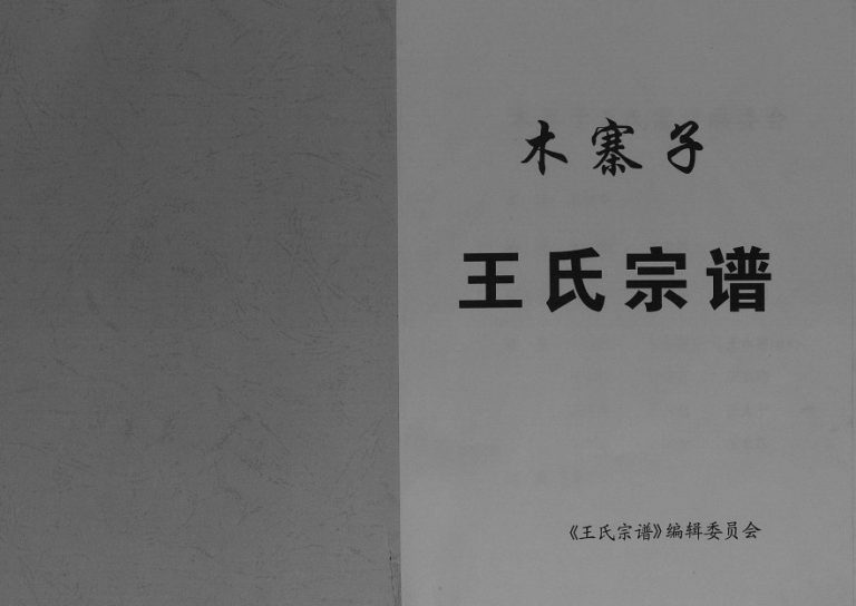 2013年修木寨子王氏宗谱[不分卷]四川平昌 通江 渠县 枝江王姓电子版族谱下载