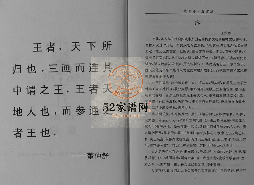 2013年修木寨子王氏宗谱[不分卷]四川平昌 通江 渠县 枝江王姓电子版族谱下载