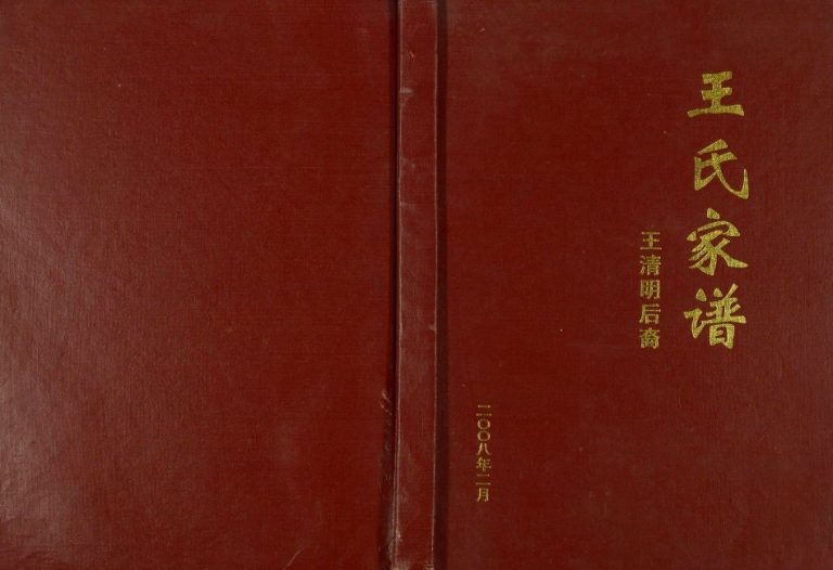 2008年修王氏家谱王清明后裔 四川奉节王姓电子版族谱下载