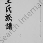宣汉县双河场王氏宗谱 四川宣汉王姓电子版家谱下载