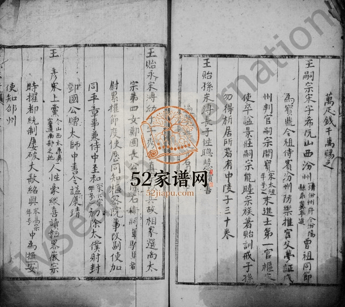 宣汉县双河场王氏宗谱 四川宣汉王姓电子版家谱下载