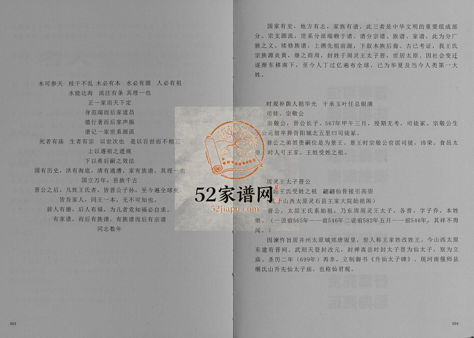 2016年修王氏族谱[不分卷]四川仪陇王姓电子版家谱下载