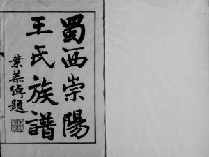1936年修蜀西崇阳王氏族谱[14卷]四川崇州 双流天眷堂王姓电子版家谱下载