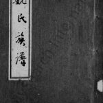 清末魏氏族谱 四川资阳魏姓电子版家谱下载