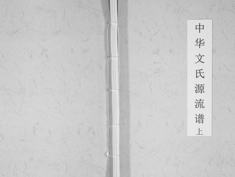 2010年七修中华文氏源流谱 四川成都文姓电子版族谱下载