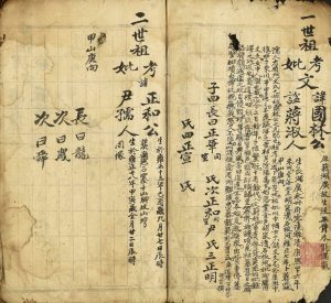 1936年修雁门文氏族谱 湖南零陵 四川金堂雁门堂文姓电子版家谱下载