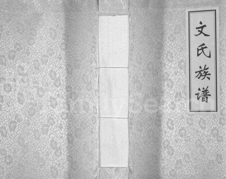 2013年修大竹文氏城口支族族谱 四川文姓电子版家谱下载