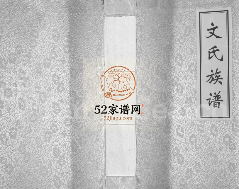 2013年修大竹文氏城口支族族谱 四川文姓电子版家谱下载