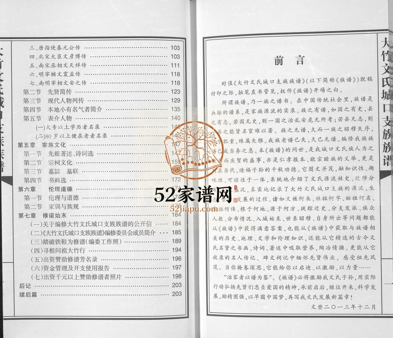 2013年修大竹文氏城口支族族谱 四川文姓电子版家谱下载