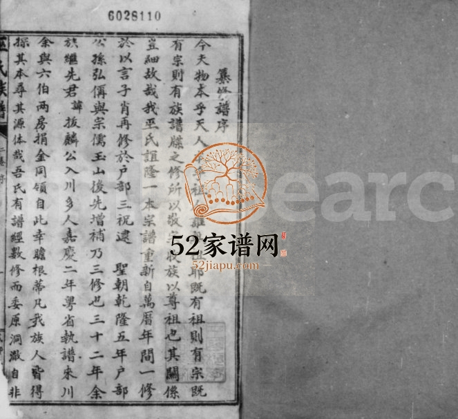 1928年修威远巫氏族谱[1卷]四川巫姓电子版家谱下载