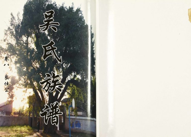 2010年修吴氏族谱卷八 良仕公房世系录 四川达州吴姓电子版家谱下载