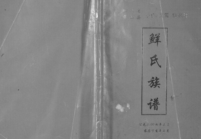 2007年修四川省营山鲜小桥灵鹫鲜家坪鲜氏族谱 鲜姓电子版家谱下载