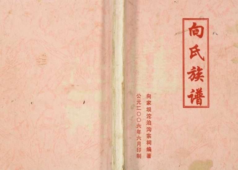 2006年修向氏族谱 四川云阳河南堂向姓电子版家谱下载