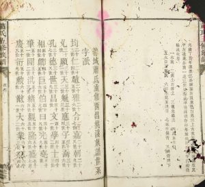 1938年萧氏五修族谱（蓉城萧氏重修西昌桃溪族谱） 江西遂川简陵堂萧姓电子版家谱下载