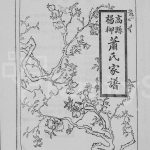 1997年修高县杨柳萧氏家谱 四川萧姓电子版族谱下载