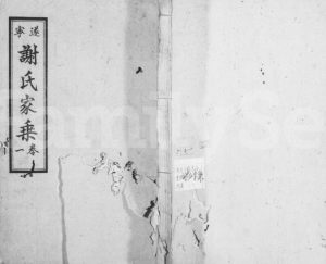 1946年修遂宁谢氏家乘[5卷]四川谢姓电子版族谱下载