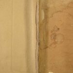 1817年定水杨氏宗谱 四川南充定水杨姓电子版族谱下载