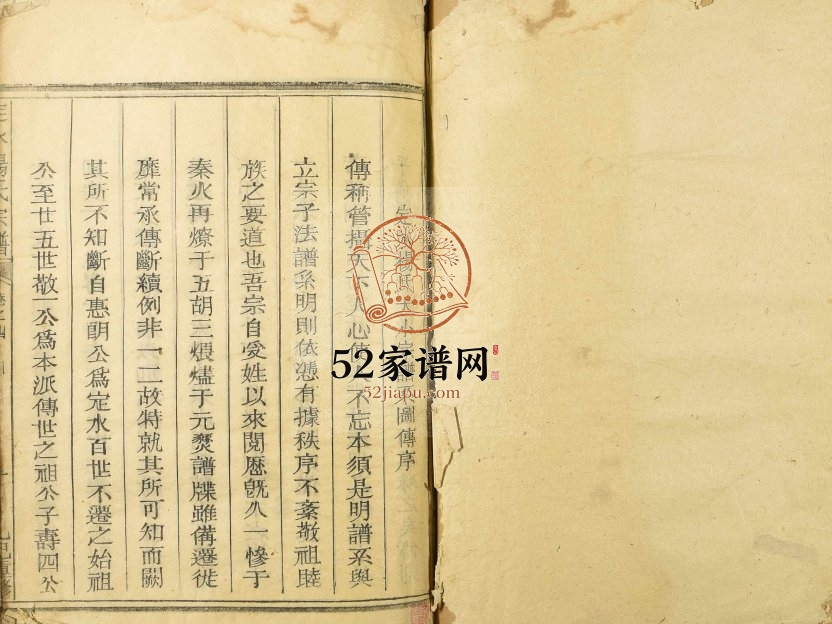 1817年定水杨氏宗谱 四川南充定水杨姓电子版族谱下载