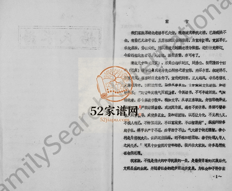 1989年修杨氏家谱 四川资阳杨姓电子版族谱下载