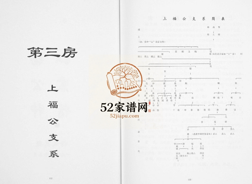 2000年修弘农华阴四知堂杨氏族谱 四川宜宾杨姓电子版家谱下载