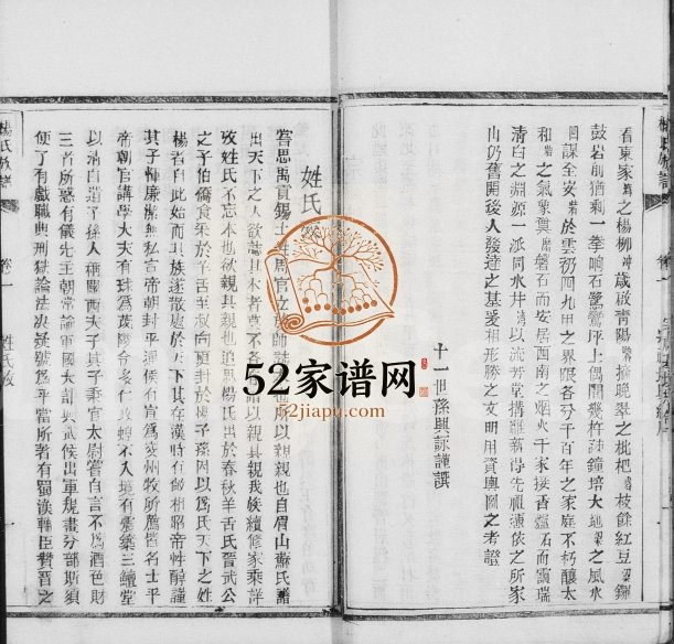 1917年修万邑杨氏族谱[8卷首1卷]万州区杨姓电子版家谱下载
