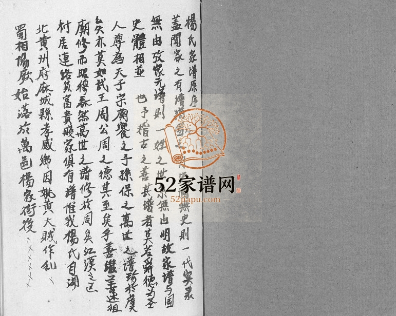 1994年修杨氏家谱[不分卷]重庆 万州区杨姓电子版族谱下载