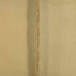 1865年修[尹氏谱系] 四川遂宁尹姓电子版族谱下载