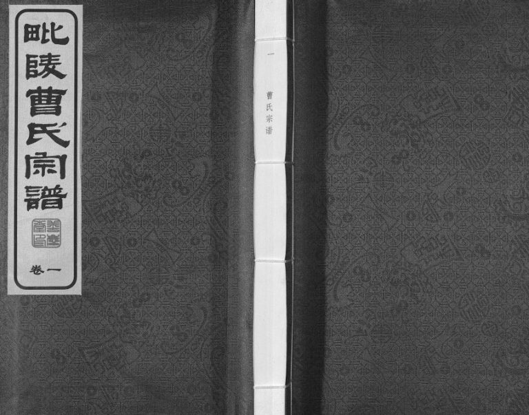 2016年修毗陵曹氏宗谱[12卷]江苏常州善庆堂曹姓电子版族谱下载